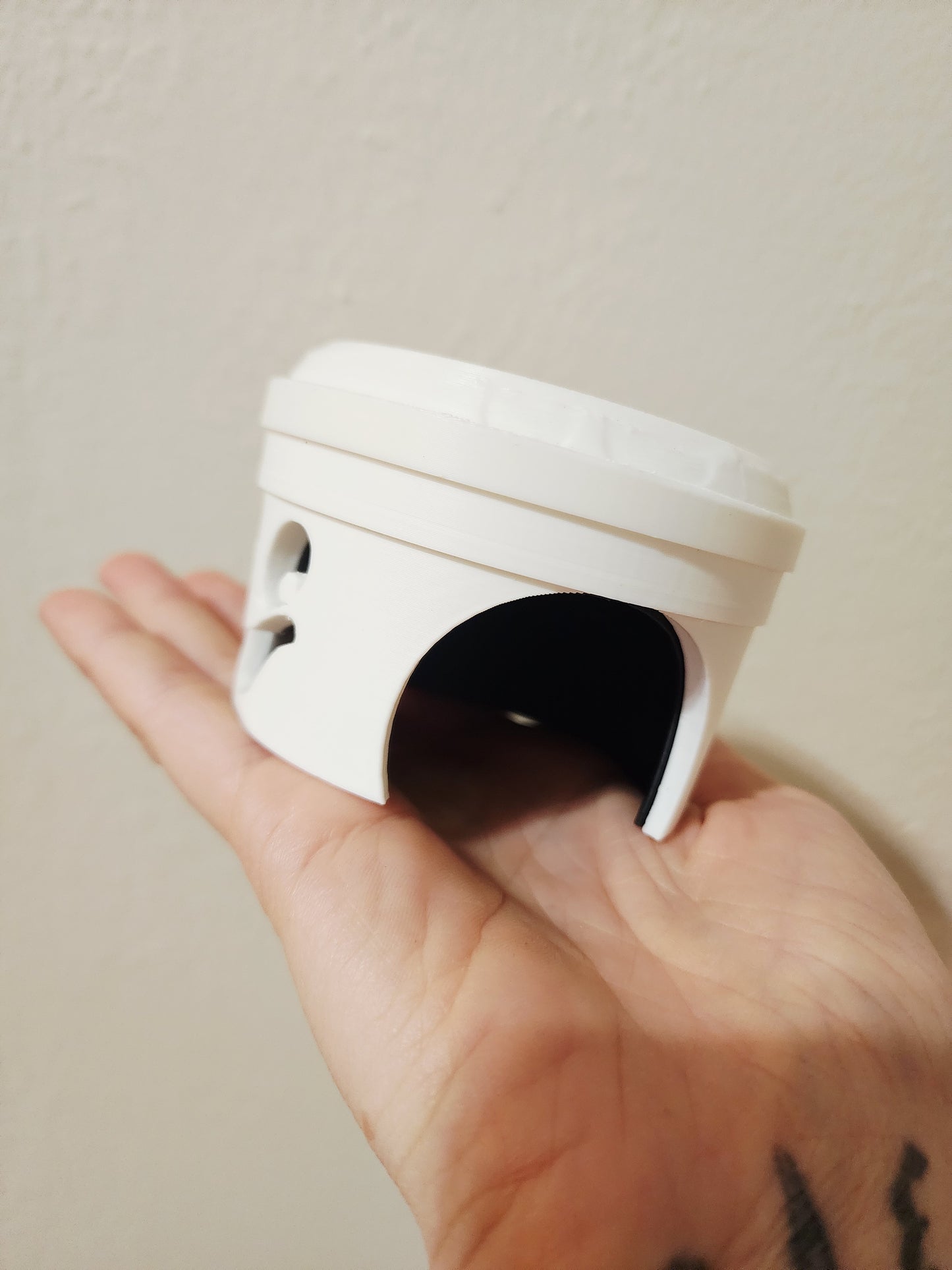 Boo Bucket Tarantula Kit