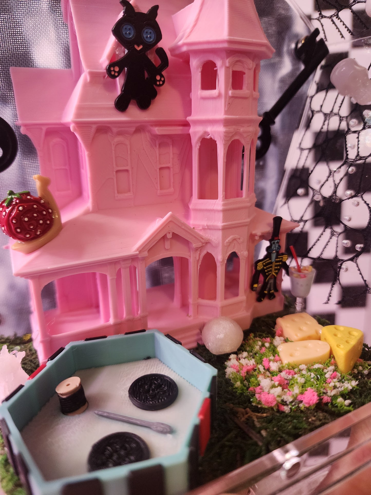 ●Pink Palace ●Coraline●
