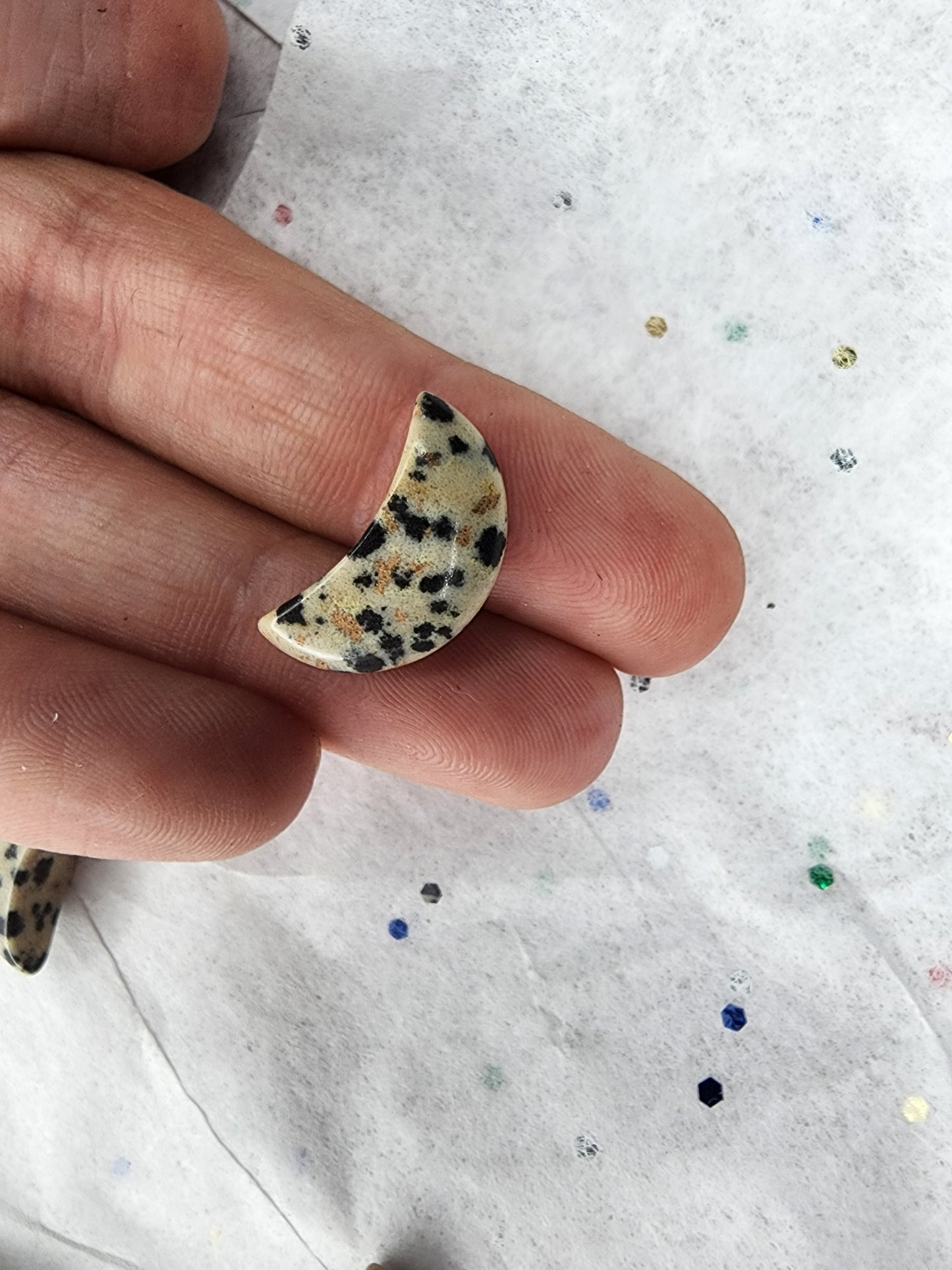 Mini Dalmatian Jasper