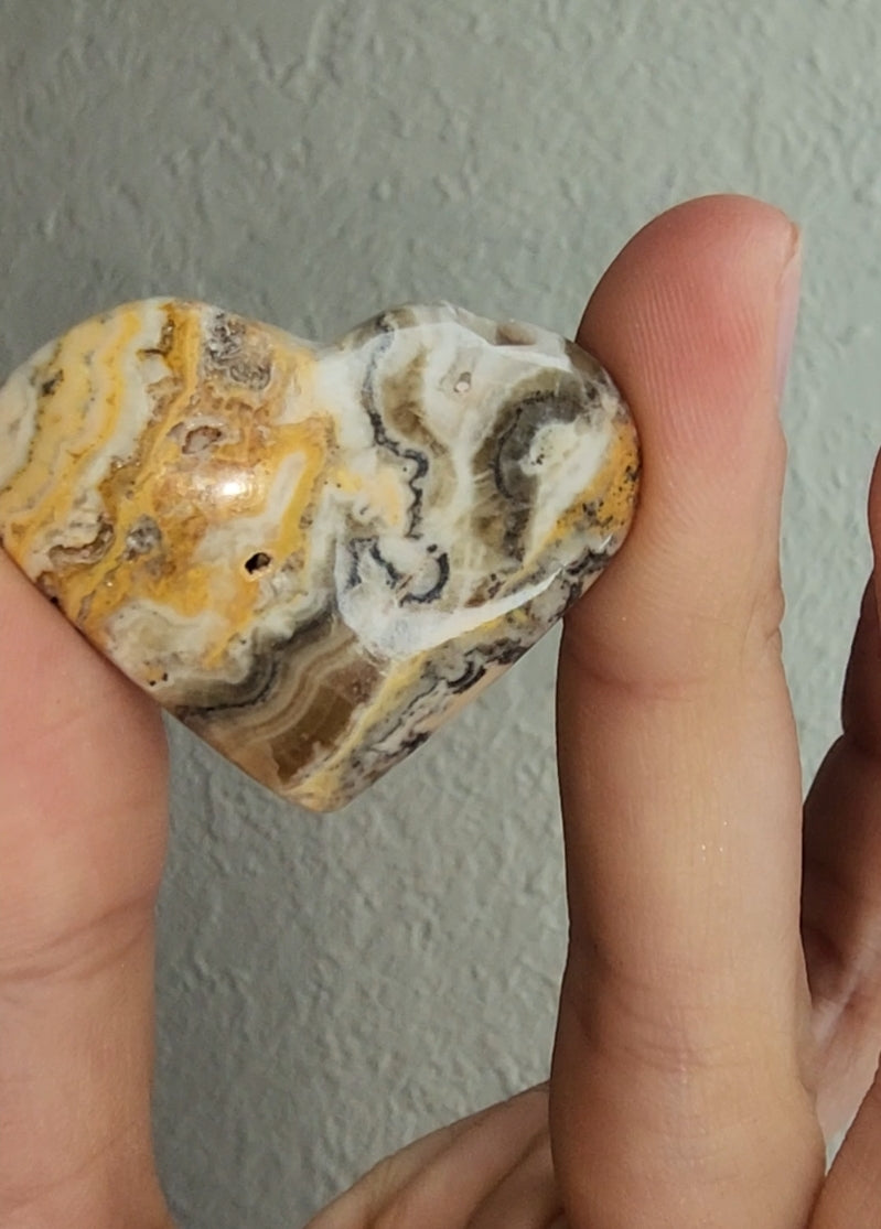 Bumble bee Jasper Heart